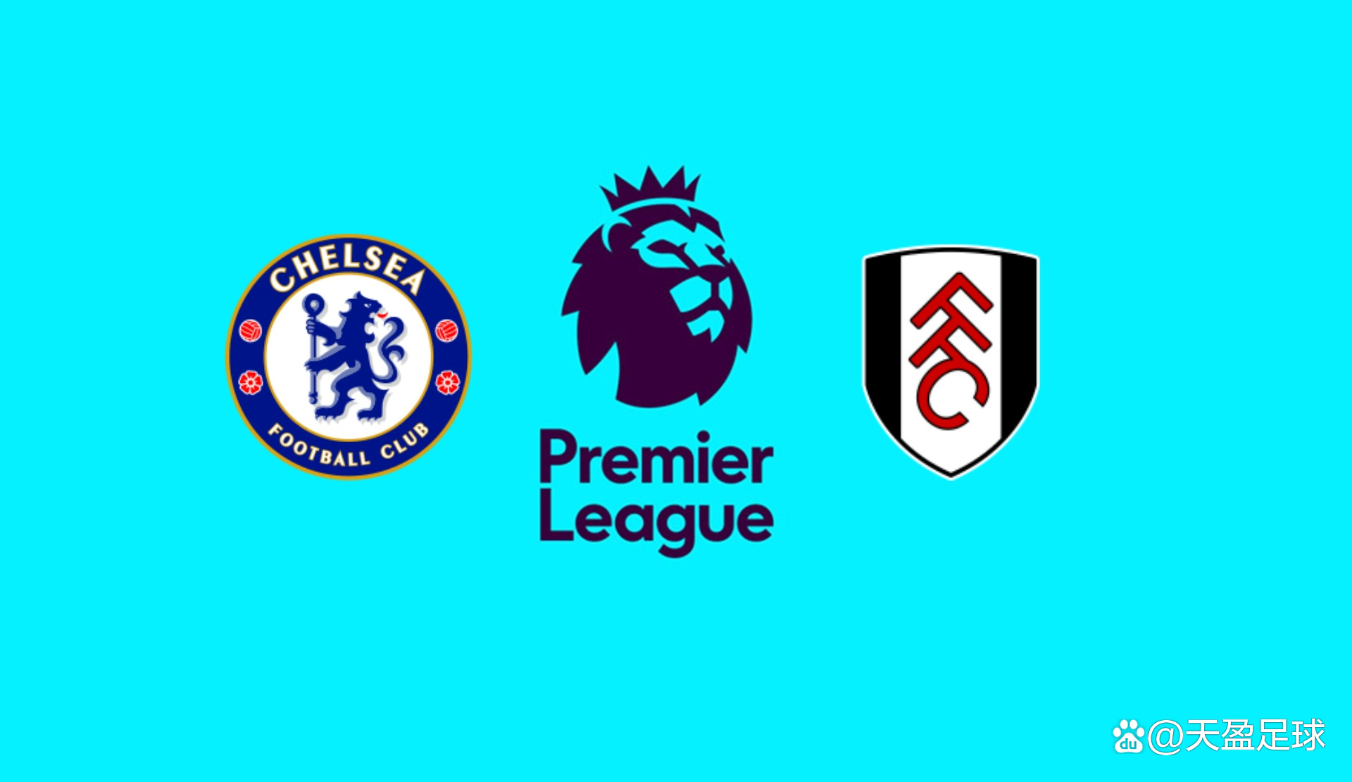 Polymarket2025年交易量预计达50亿美元