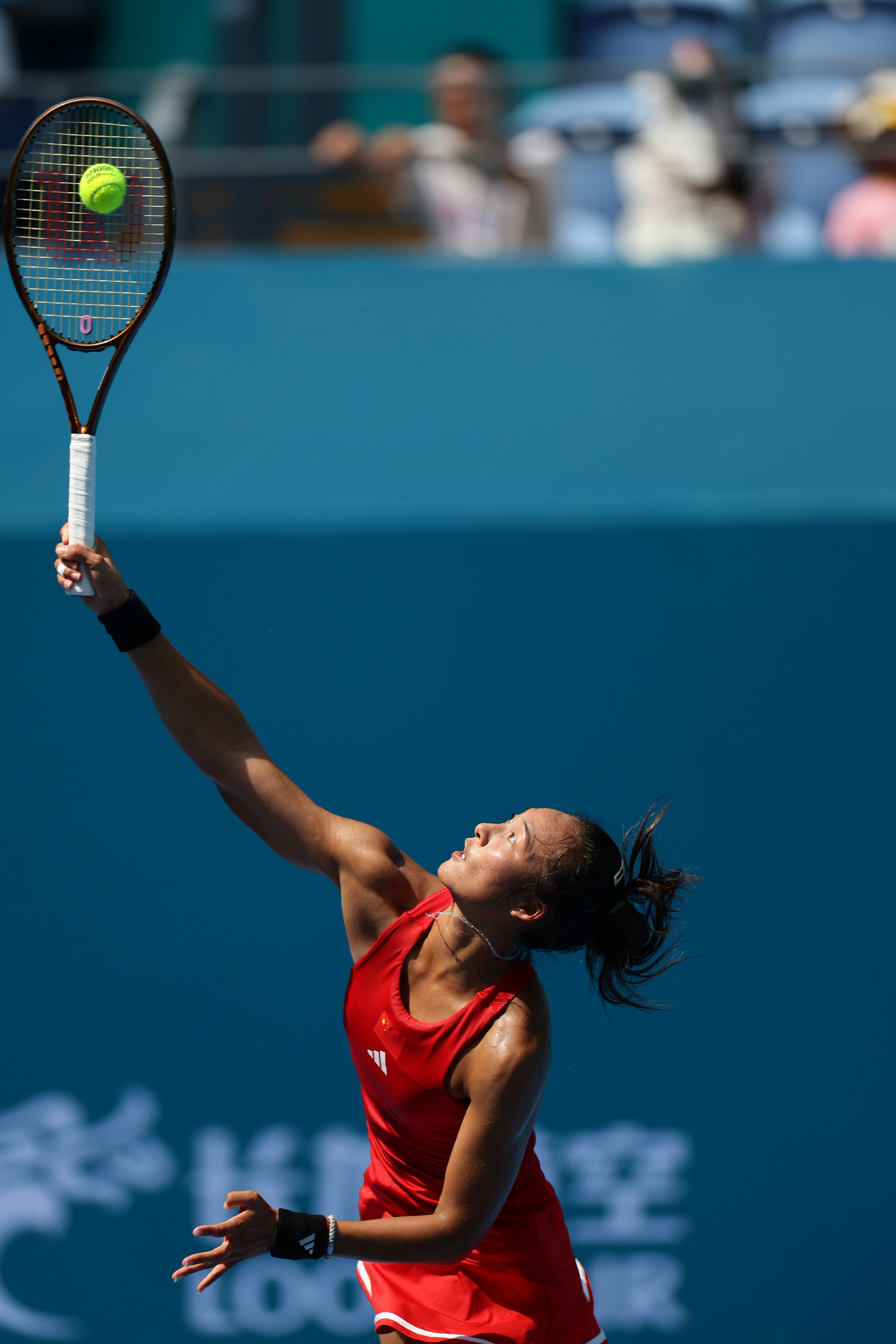 这一次他能 这一次他能